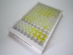 ELISA Kit for Alpha-Hemoglobin Stabilizing Protein (aHSP)