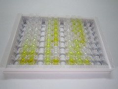 ELISA Kit for Cytokeratin 16 (CK16)