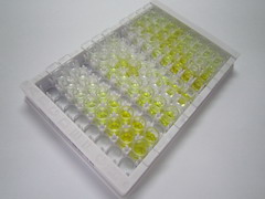 ELISA Kit for Tissue Plasminogen Activator (tPA)