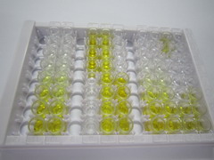 ELISA Kit for Intercellular Adhesion Molecule 1 (ICAM1)