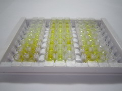 ELISA Kit for Tissue Inhibitors Of Metalloproteinase 1 (TIMP1)