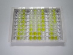 ELISA Kit for Interleukin 1 Delta (FIL1d)