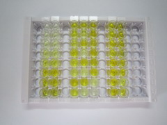 ELISA Kit for S100 Calcium Binding Protein B (S100B)