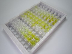 ELISA Kit for Cytochrome C (CYCS)