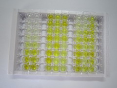 ELISA Kit for Toll Like Receptor 2 (TLR2)