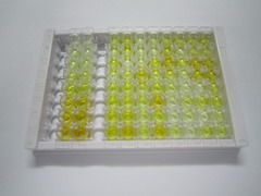 ELISA Kit for Glucose 6 Phosphate Isomerase (GPI)