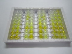 ELISA Kit for Mannose Receptor C Type 2 (MRC2)