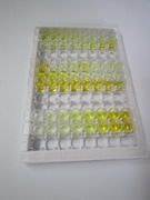 ELISA Kit for Dickkopf Related Protein 1 (DKK1)