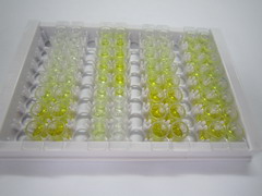 ELISA Kit for C4 Binding Protein Beta (C4BPb)