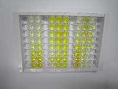 ELISA Kit for Inducible T-Cell Co Stimulator Ligand (ICOSLG)