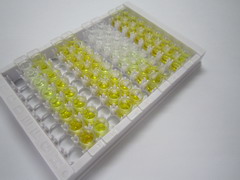 ELISA Kit for Hypoxia Inducible Factor 1 Alpha (HIF1a)