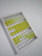 ELISA Kit for Cholesteryl Ester Transfer Protein (CETP)