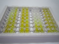 ELISA Kit for Inhibin Beta A (INHbA)