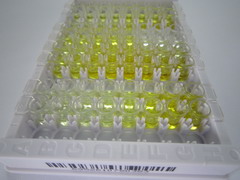 ELISA Kit for Prolactin (PRL)