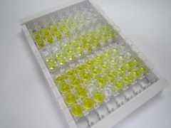 ELISA Kit for Endothelial NOS (eNOS)