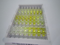 ELISA Kit for Ghrelin (GHRL)