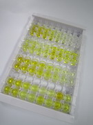 ELISA Kit for Glypican 1 (GPC1)