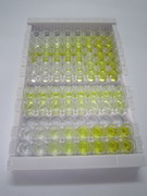 ELISA Kit for Dickkopf Related Protein 2 (DKK2)