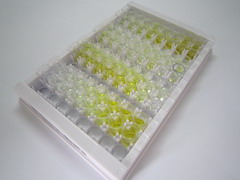 ELISA Kit for Myosin Light Chain 1 (MYL1)