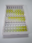 ELISA Kit for Complement Receptor 1, Erythrocyte (CR1)