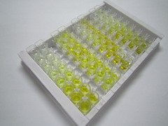 ELISA Kit for Dynamin 2 (DNM2)