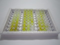 ELISA Kit for Aspartate Aminotransferase (AST)