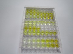 ELISA Kit for Cytotoxic T-Lymphocyte Associated Antigen 4 (CTLA4)