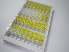 ELISA Kit for Androgen Receptor (AR)