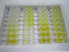 ELISA Kit for Integrin Beta 3 (ITGb3)