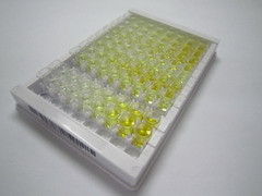 ELISA Kit for Integrin Alpha 1 (ITGa1)