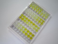 ELISA Kit for Ataxia Telangiectasia Mutated (ATM)