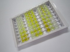 ELISA Kit for Cadherin 5 (CDH5)