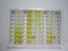 ELISA Kit for Glucuronidase Beta (GUSb)