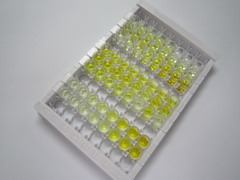 ELISA Kit for Semaphorin 7A (SEMA7A)