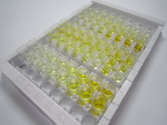 ELISA Kit for Enolase 1 (ENO1)