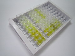 ELISA Kit for Alkaline Phosphatase (ALP)