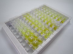 ELISA Kit for Pulmonary Activation Regulated Chemokine (PARC)