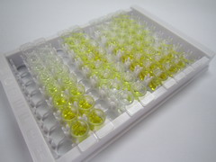 ELISA Kit for Poliovirus Receptor (PVR)