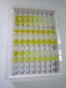 ELISA Kit for Bone Marrow Stromal Cell Antigen 1 (BST1)