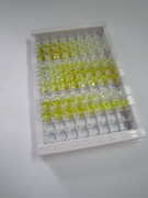 ELISA Kit for Fatty Acid Binding Protein 1 (FABP1)