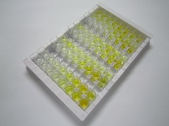 ELISA Kit for Fatty Acid Binding Protein 1 (FABP1)