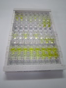 ELISA Kit for Cluster Of Differentiation 32 (CD32)