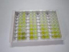 ELISA Kit for Surfactant Protein B (SP-B)