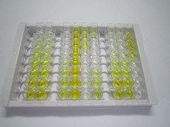 ELISA Kit for Glucose Transporter 3 (GLUT3)