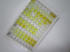 ELISA Kit for Interleukin 13 Receptor Alpha 2 (IL13Ra2)