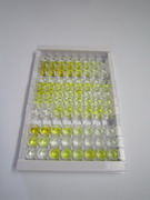 ELISA Kit for Cluster Of Differentiation 226 (CD226)