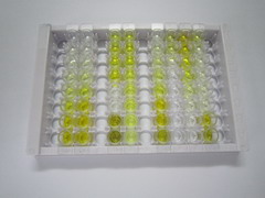 ELISA Kit for Integrin Alpha M (CD11b)