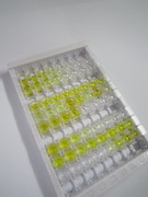 ELISA Kit for Glycophorin A (GYPA)