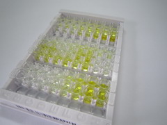 ELISA Kit for Bone Morphogenetic Protein 9 (BMP9)