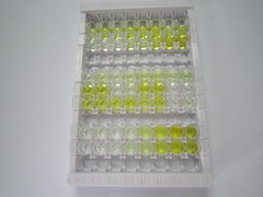 ELISA Kit for Bone Morphogenetic Protein 9 (BMP9)